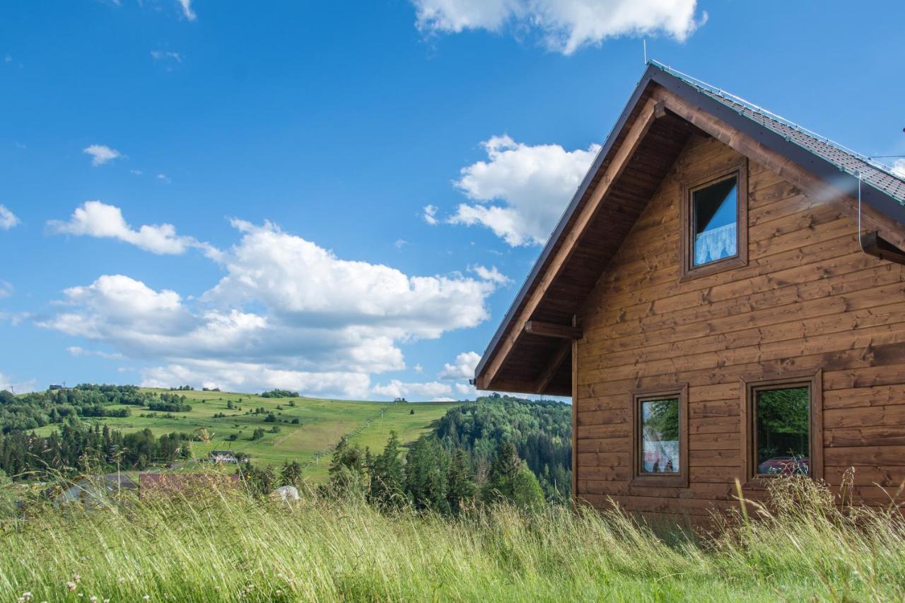 U Jana I Wita Vila Istebna Exterior foto