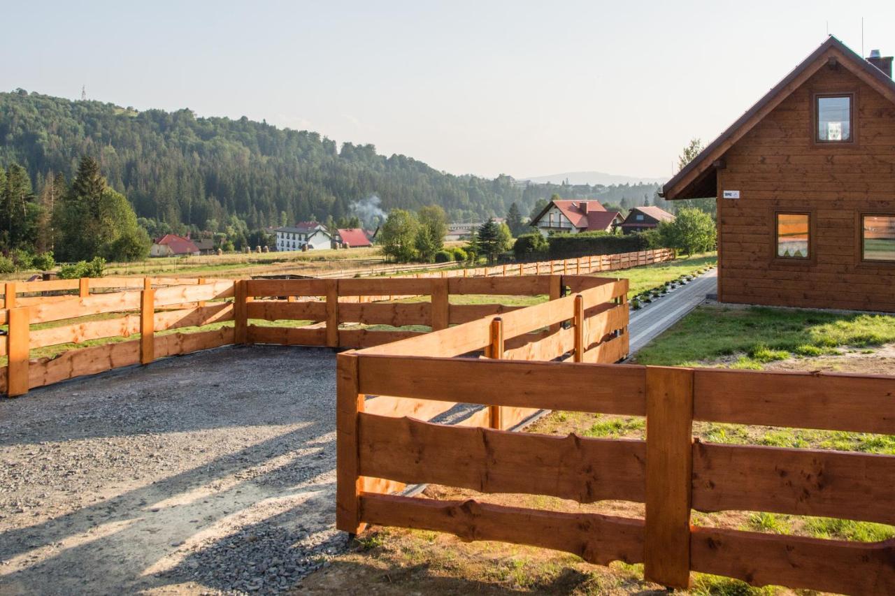 U Jana I Wita Vila Istebna Exterior foto