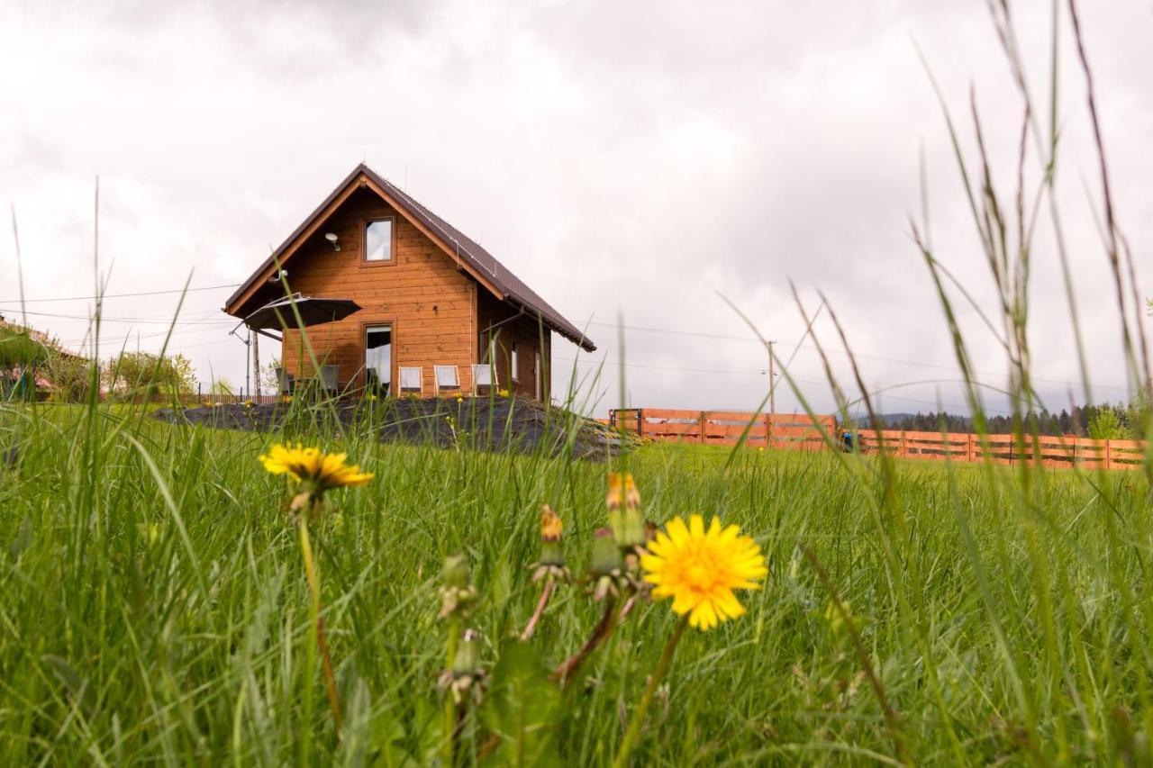 U Jana I Wita Vila Istebna Exterior foto